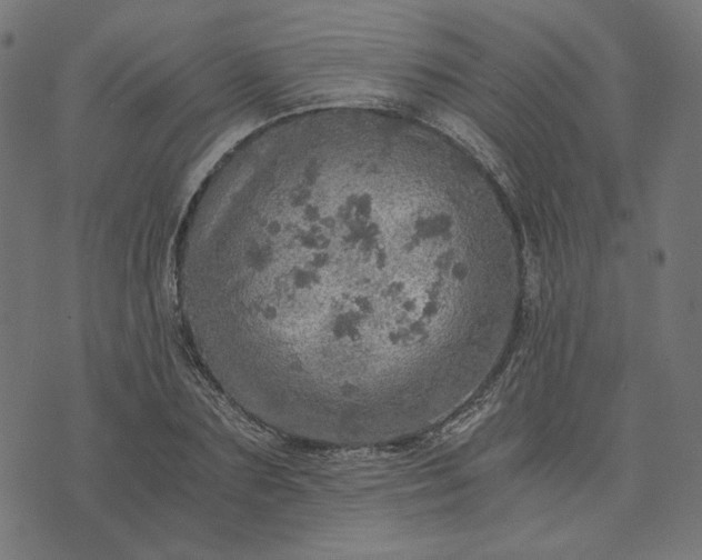 X0000073750883200608171328