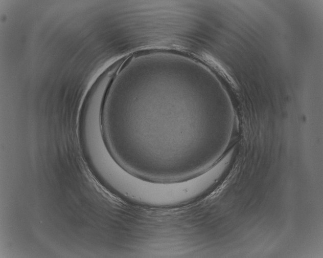 X0000073750884200608171328