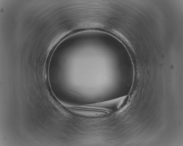 X0000073750885200608171328