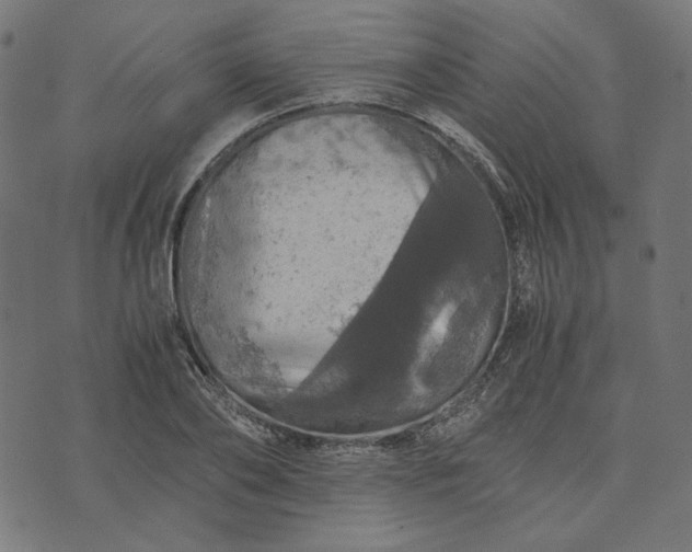 X0000073750886200608171328