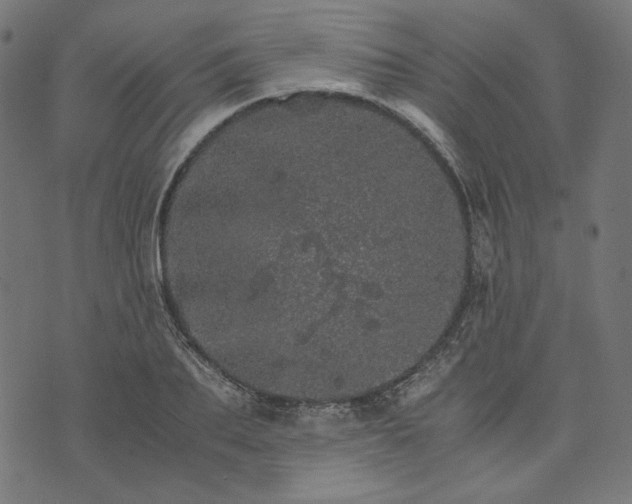 X0000073750887200608171328