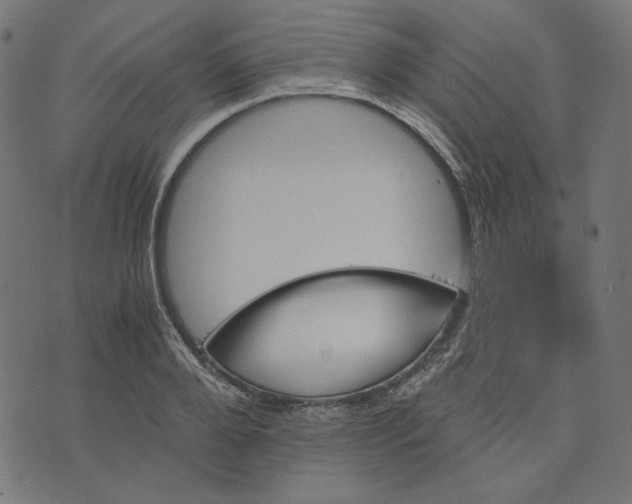 X0000073750888200608171328