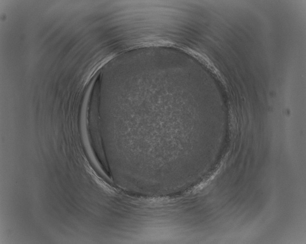 X0000073750889200608171328