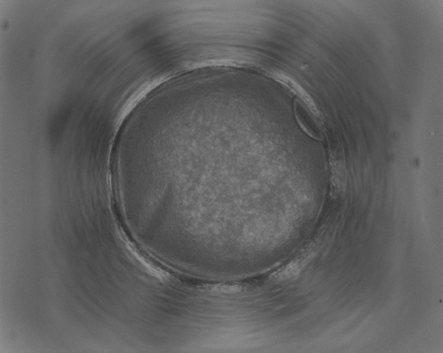 X0000073750890200608171328