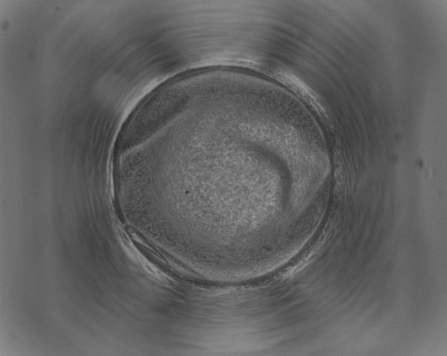 X0000073750892200608171328