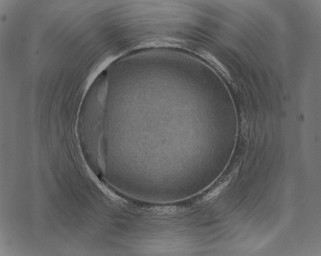 X0000073750893200608171328