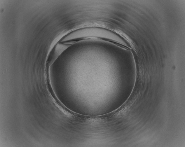 X0000073750894200608171328