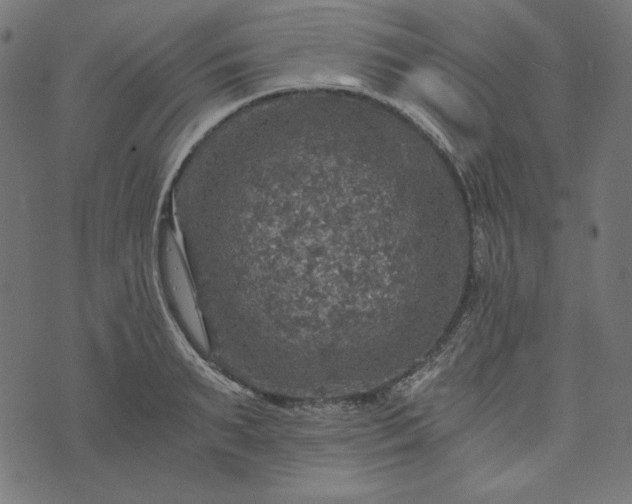 X0000073750895200608171328