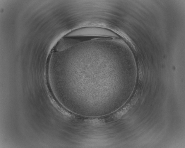 X0000073750896200608171328