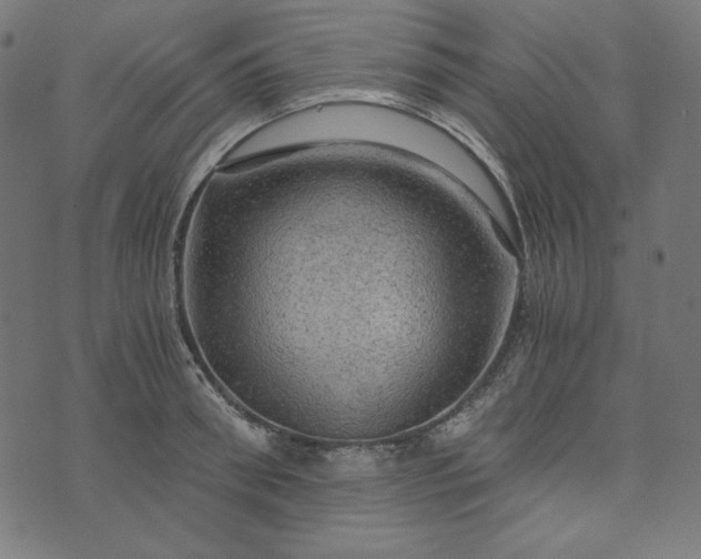 X0000073750898200608171328