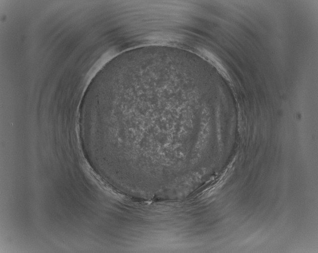 X0000073750899200608171328