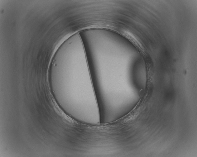 X0000073750900200608171328