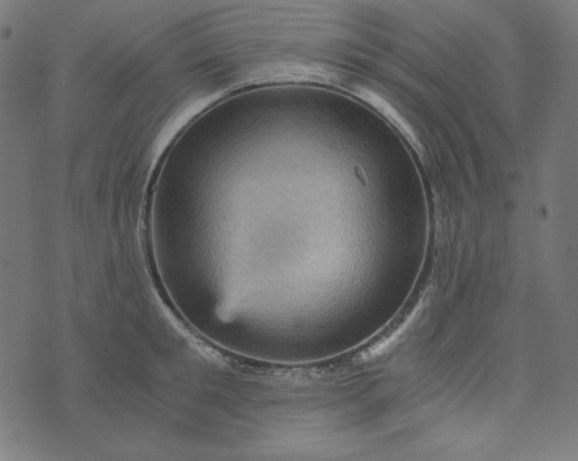 X0000073750901200608171328