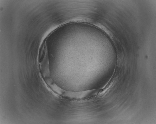 X0000073750902200608171328