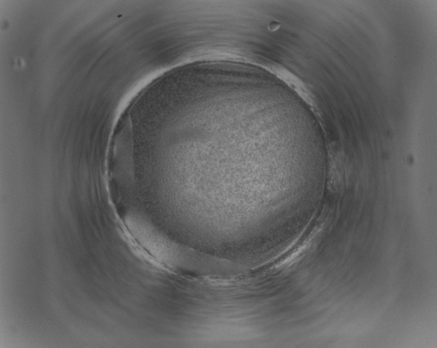 X0000073750904200608171328