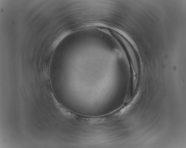 X0000073750905200608171328