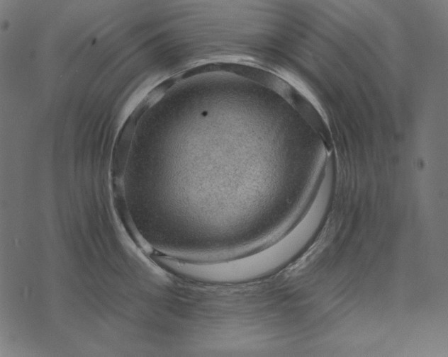 X0000073750906200608171328