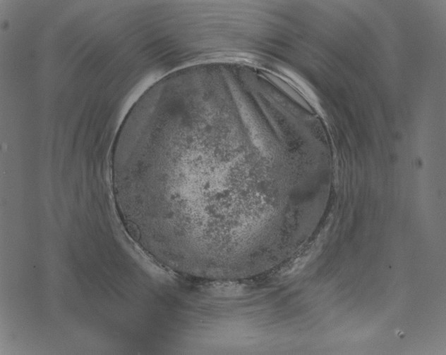 X0000073750907200608171328