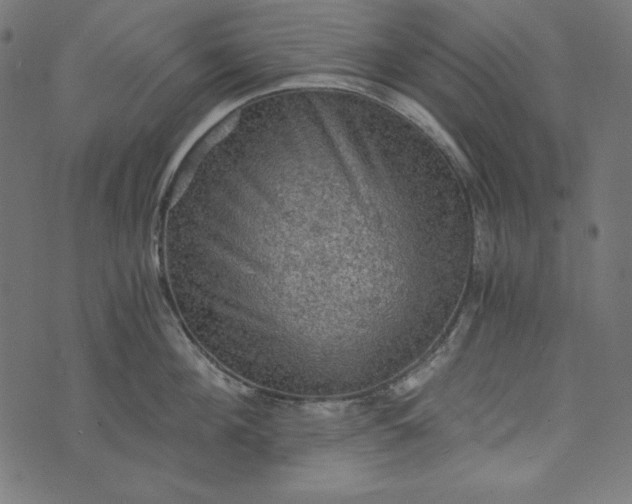 X0000073750908200608171328