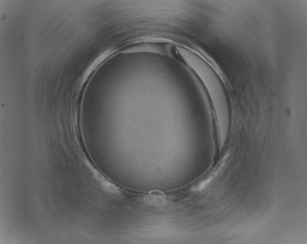 X0000073750909200608171328