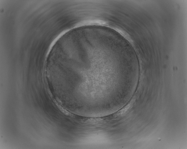 X0000073750912200608171328