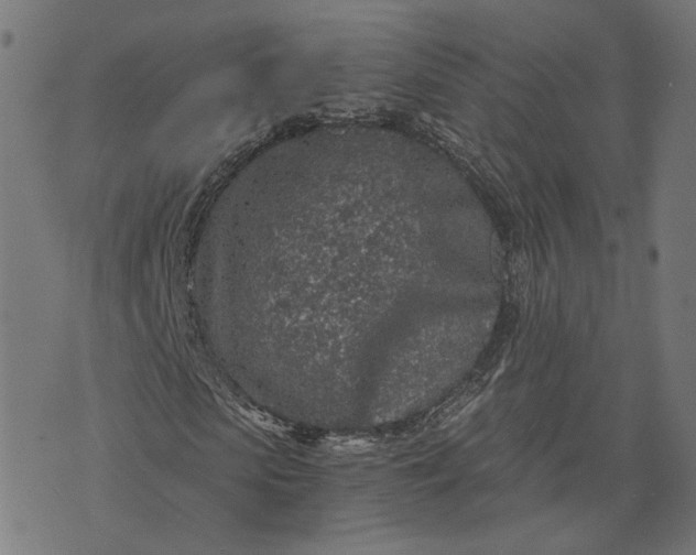 X0000073750913200608171327