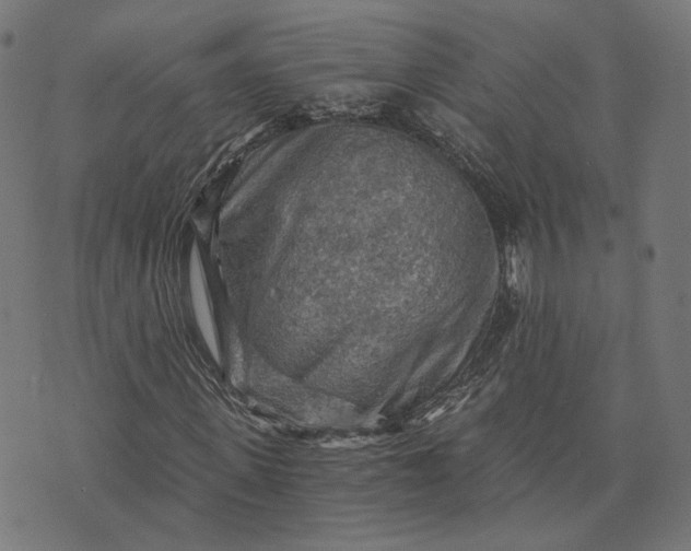 X0000073750915200608171327