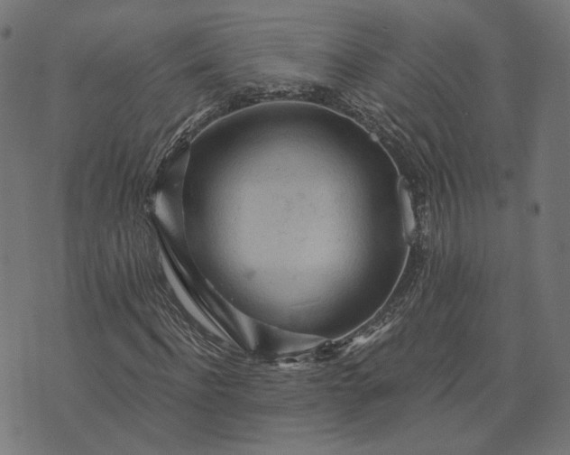 X0000073750916200608171327