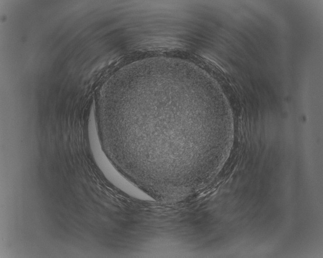 X0000073750917200608171327