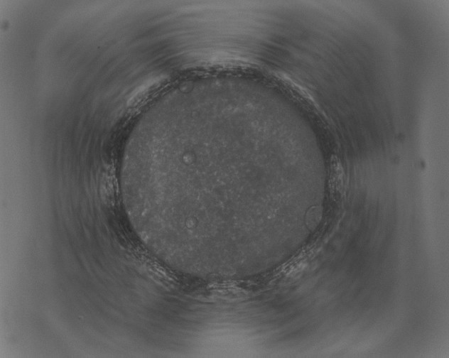 X0000073750918200608171327