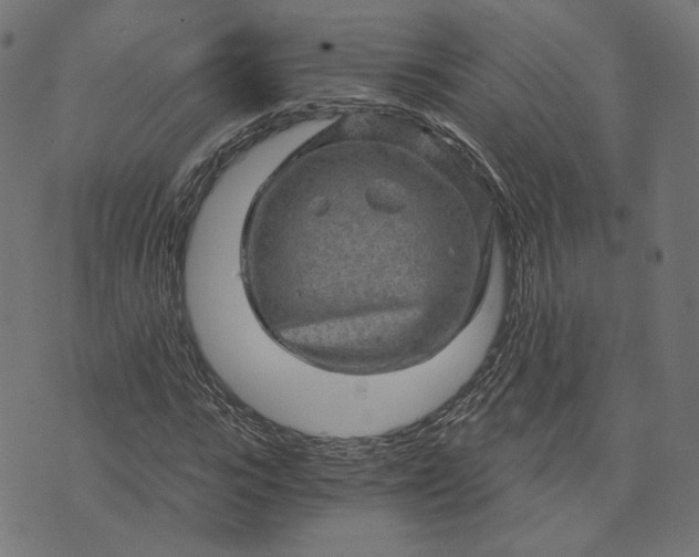 X0000073750919200608171327