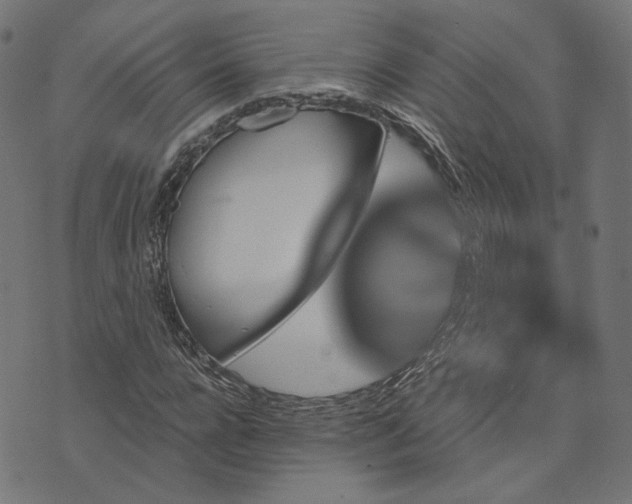 X0000073750920200608171327