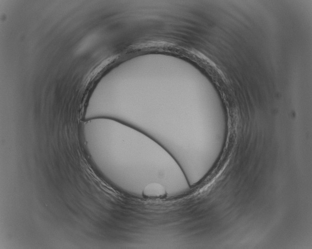 X0000073750921200608171327