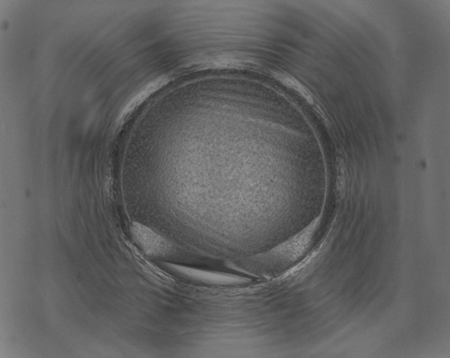 X0000073750922200608171327