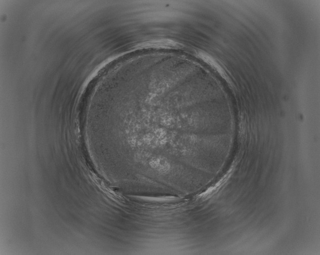 X0000073750923200608171327