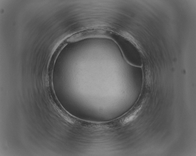 X0000073750924200608171327