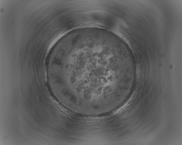 X0000073750925200608171327