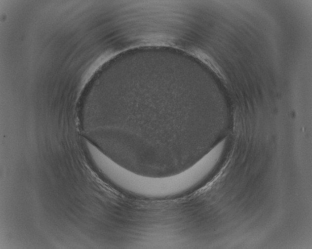 X0000073750926200608171327