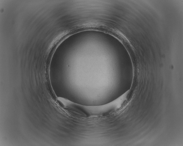 X0000073750930200608171327