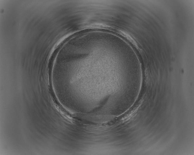 X0000073750931200608171327