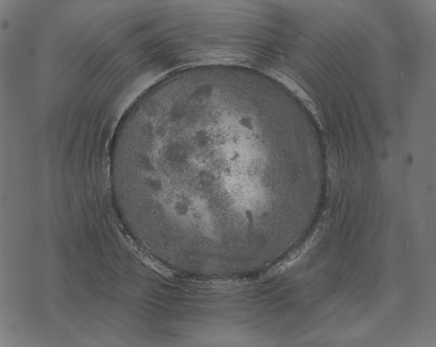 X0000073750933200608171327