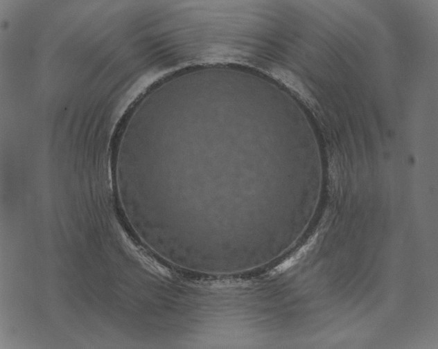 X0000073750934200608171327