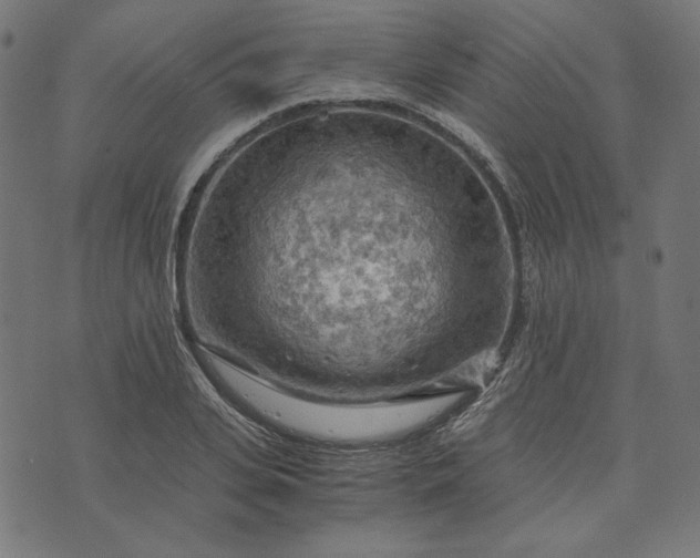 X0000073750935200608171327