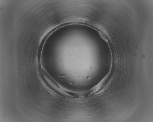 X0000073750936200608171327