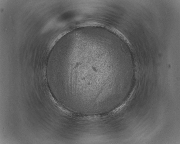 X0000073750937200608171327