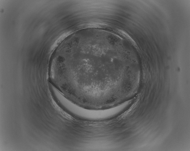 X0000073750938200608171327