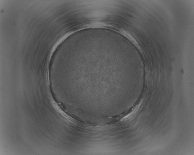 X0000073750939200608171327