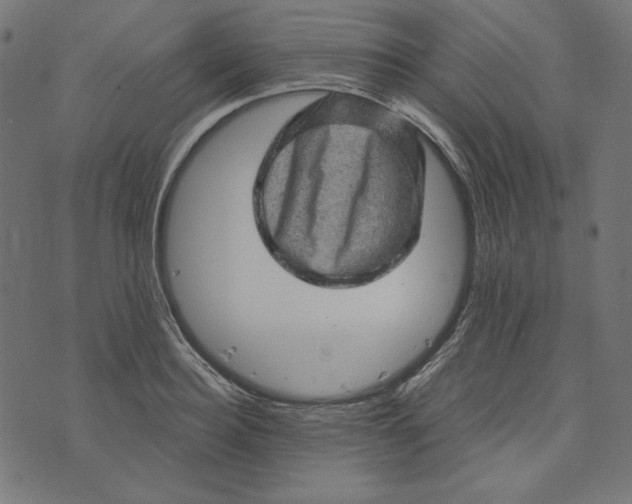 X0000073750940200608171328