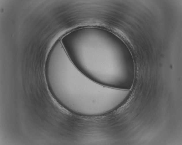 X0000073750942200608171328