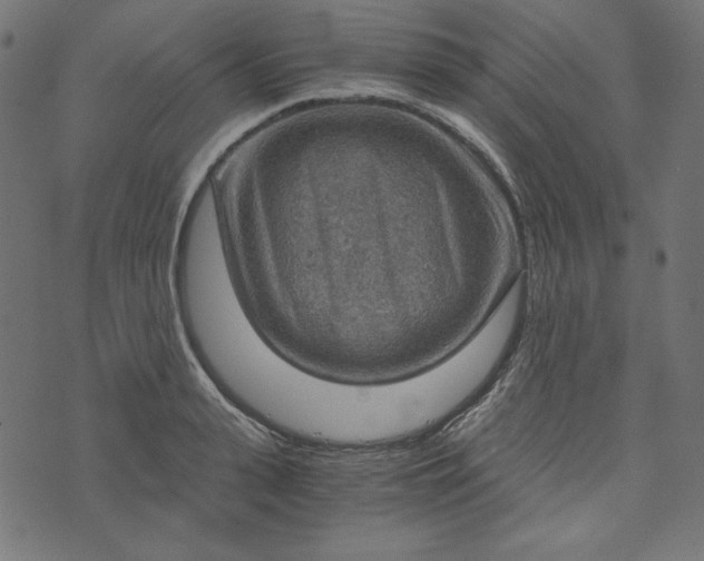 X0000073750943200608171328